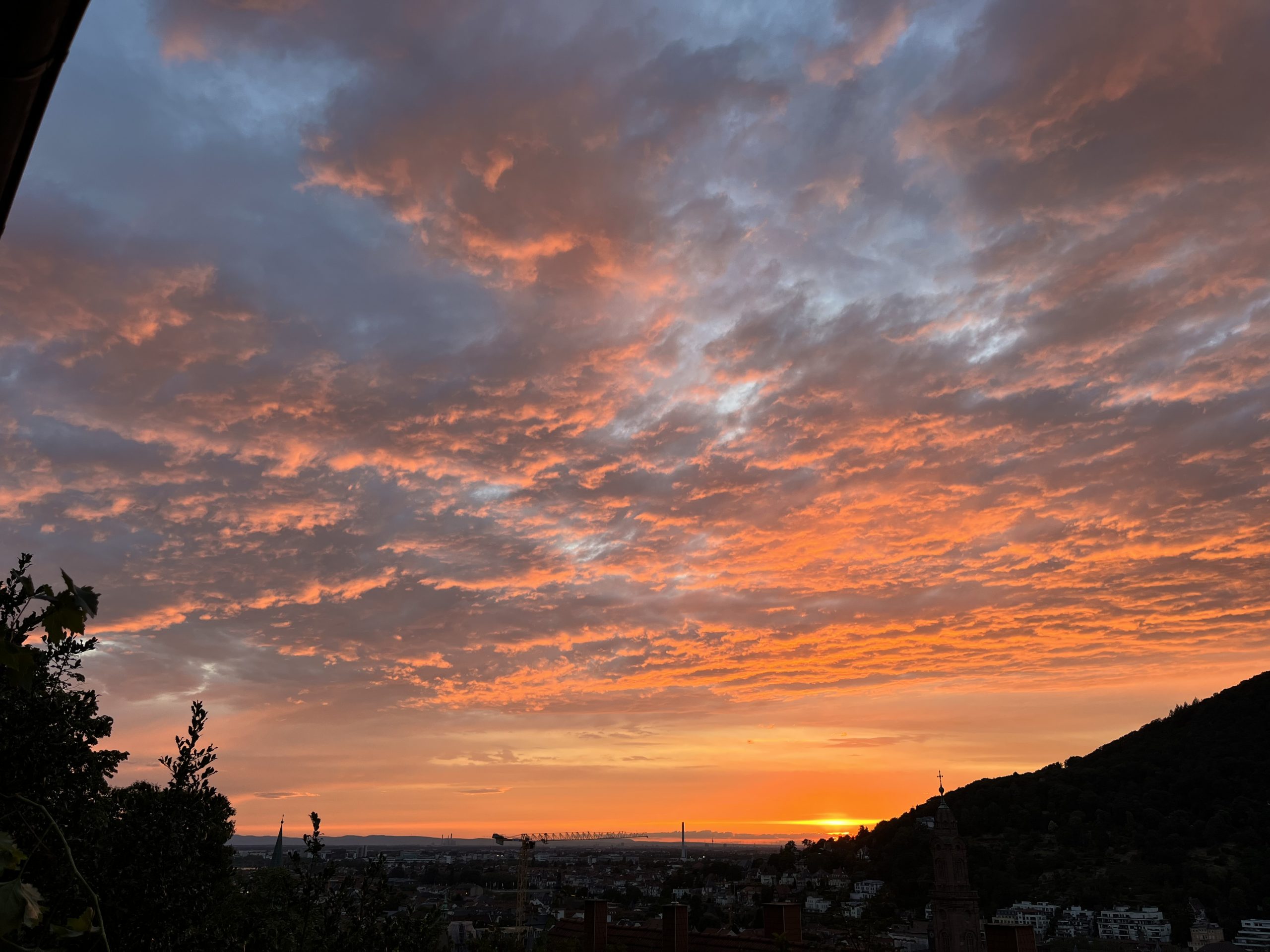 Read more about the article Unsere Reisewarnung