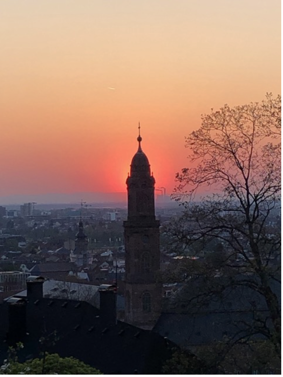 Read more about the article Baustelle…